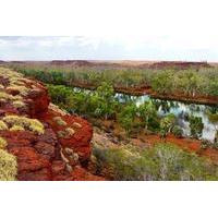 millstream day trip with indigenous guide from karratha