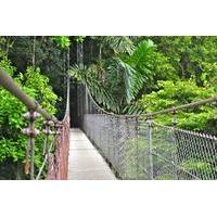 Mistico Hanging Bridges Park from La Fortuna