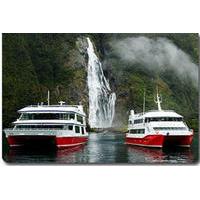Milford Sound Sightseeing Cruise including Optional Lunch