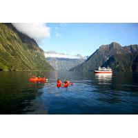 Milford Sound Cruise with Optional Kayak Tour