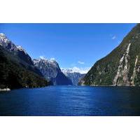 milford sound full day tour from queenstown
