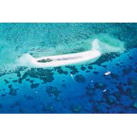 Michaelmas Cay Dive and Snorkel Cruise from Cairns