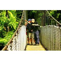 Mistico Park Hanging Bridges Guided Tour