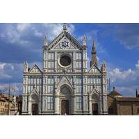 Michelangelo and Santa Croce Basilica Private Tour