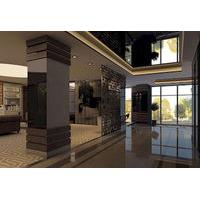 Millennium Hotel & Spa