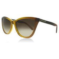 Michael Kors 2040 Sunglasses Amber Gradient 321813 57mm