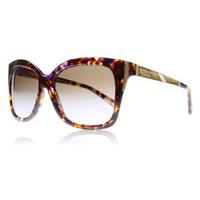 Michael Kors Taormina Sunglasses Sunset Confetti Tortoise 303268