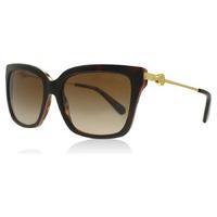 Michael Kors 6038 Sunglasses Tortoise / Orange 313013 54mm