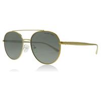 Michael Kors MK1021 Sunglasses Gold-Tone 11686G 53mm