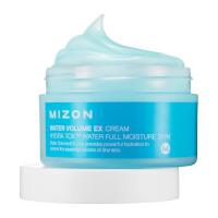 Mizon Water Volume Ex Cream 100ml