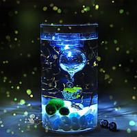 Mini Aquariums Ornament Glass
