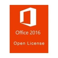 Microsoft Office 2016 Professional Plus (Win) (Open-NL)