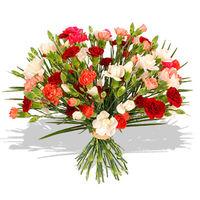 Mixed Carnations - flowers