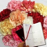Mixed Christmas Carnations 15 Stems plus 2016 Diary