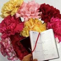Mixed Christmas Carnations 10 Stems plus Diary