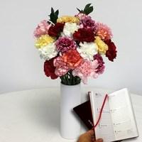 Mixed Christmas Carnations 20 Stems with Ceramic Vase plus 2016 Diary