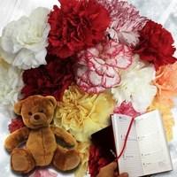 Mixed Christmas Carnations 20 Stems + Cuddly Bear plus Diary