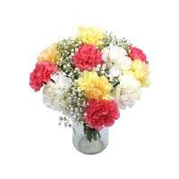 Mixed Carnations (by courier)