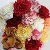 mixed christmas carnations 20 stems cuddly bear
