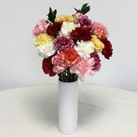 Mixed Christmas Carnations 20 Stems with Ceramic Vase