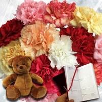 mixed christmas carnations 15 stems cuddly bear plus diary
