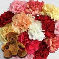 mixed christmas carnations 15 stems cuddly bear