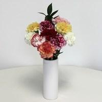Mixed Christmas Carnations 10 Stems with Ceramic Vase