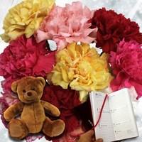 mixed christmas carnations 10 stems cuddly bear plus diary