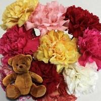 mixed christmas carnations 10 stems cuddly bear