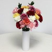 Mixed Christmas Carnations 10 Stems