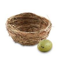 mini birds nest wedding favour