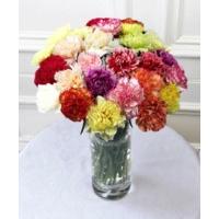 Mixed Carnations