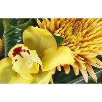 Mini Yellow Orientals in a Glass...