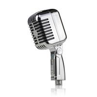 Microphone Shower Head