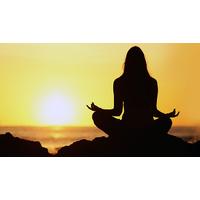 Mindfulness Diploma Online Course