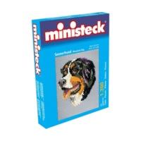 Ministeck 31307