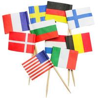 Mixed International Flag Picks (Case of 6000)