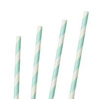 Mix and Match Mint Green Party Straws