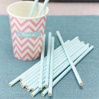 Mint Chevron Devine Party Straws