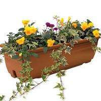 mixed floral pre planted 2 pre planted troughs delivery period 1