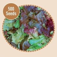 Mixed Salad Baby Leaf 500 Seeds