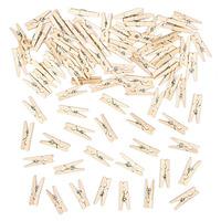 Mini Wooden Craft Pegs (Pack of 100)