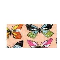 Michael Millar Flutter Flutter Fly Poplin Quilting Fabric