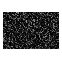 michael millar garden pindot poplin quilting fabric black