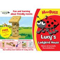 minibugs lucys ladybird house