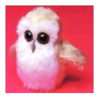 Minicraft Mini Soft Toy Making Kit Baby Owl