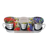 mixed spring bulb planter set