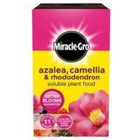 miracle gro azalea camellia rhododendron continuous release plant food ...