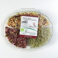 Mixed Sprouts (100g)