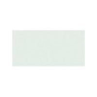 Mintwater Gloss Oblong (PRG45) Tiles - 200x100x6.5mm